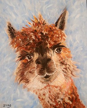 Evvy the Alpaca - Pan Pastel on 9 X 12 Pastelmat