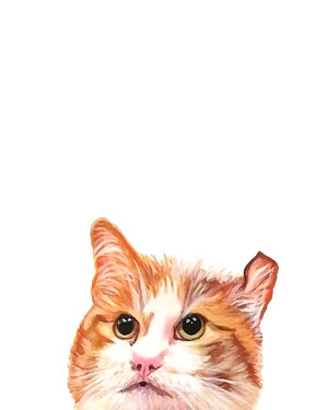 Peekaboo Painting 3 of 4: Leon - Acrylic on 11 X 14 Canvas Sheet